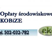 Cena za wykonanie raportu do kobize, tel. 502-032-782. Wykaz i sprawozdanie