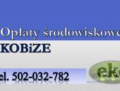 Policzenie opłat środowiskowych, tel. 502-032-782 sprawozdanie