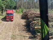 USŁUGI ZRĘBKOWANIA, RĘBAK, ZRĘBKOWANIE, CAŁA POLSKA