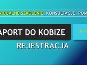 Szkolenie Raport do Kobize, Ćwiczenia, Warsztaty, cena , sprawozdanie